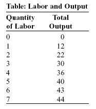 A table of labor and output

Description automatically generated